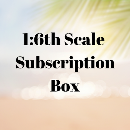 1:6th Scale Subscription Box