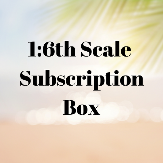 1:6th Scale Subscription Box